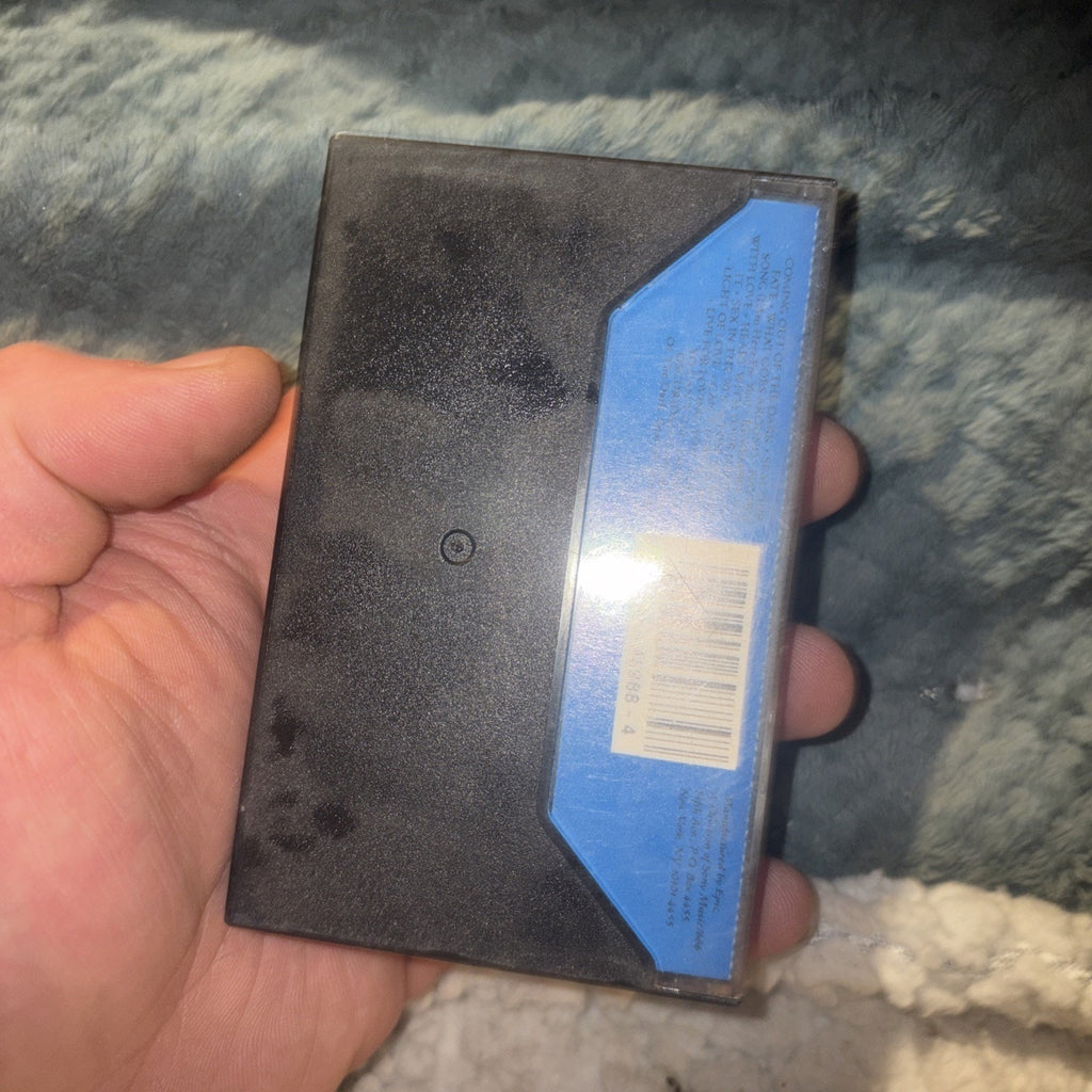 Into the Light by Gloria Estefan (Cassette, 1991, Epic)