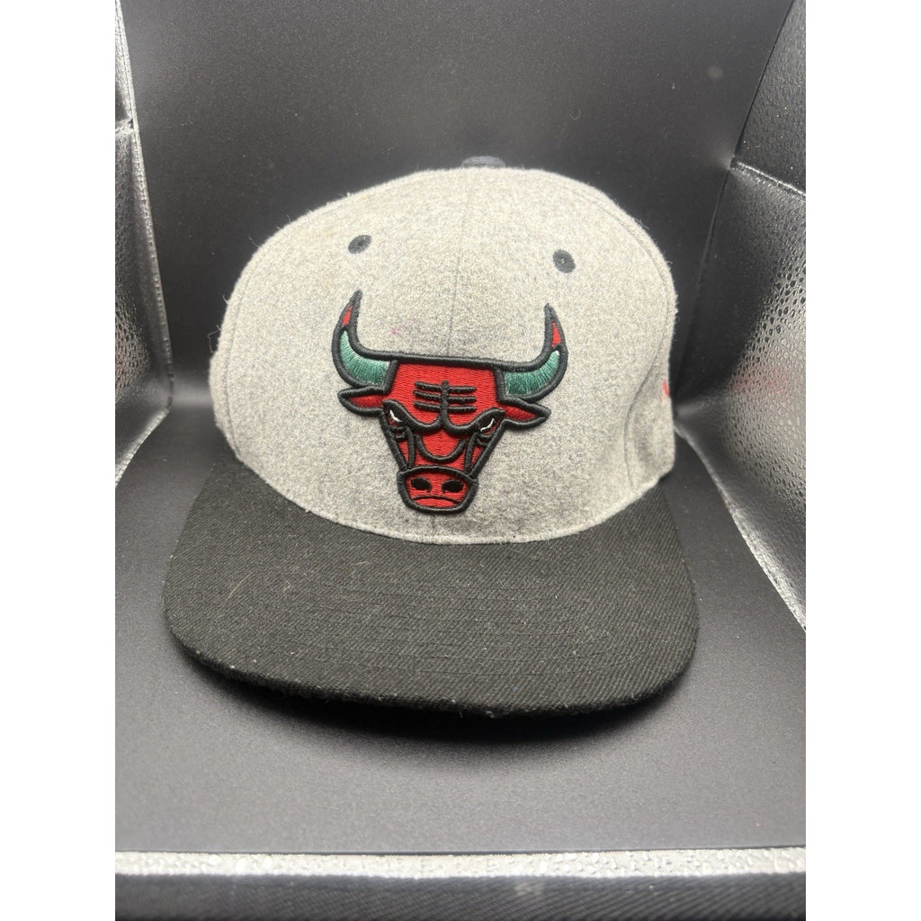 Mitchell & Ness Chicago Bulls Snapback Hat Gray Wool Red Green Horns Logo