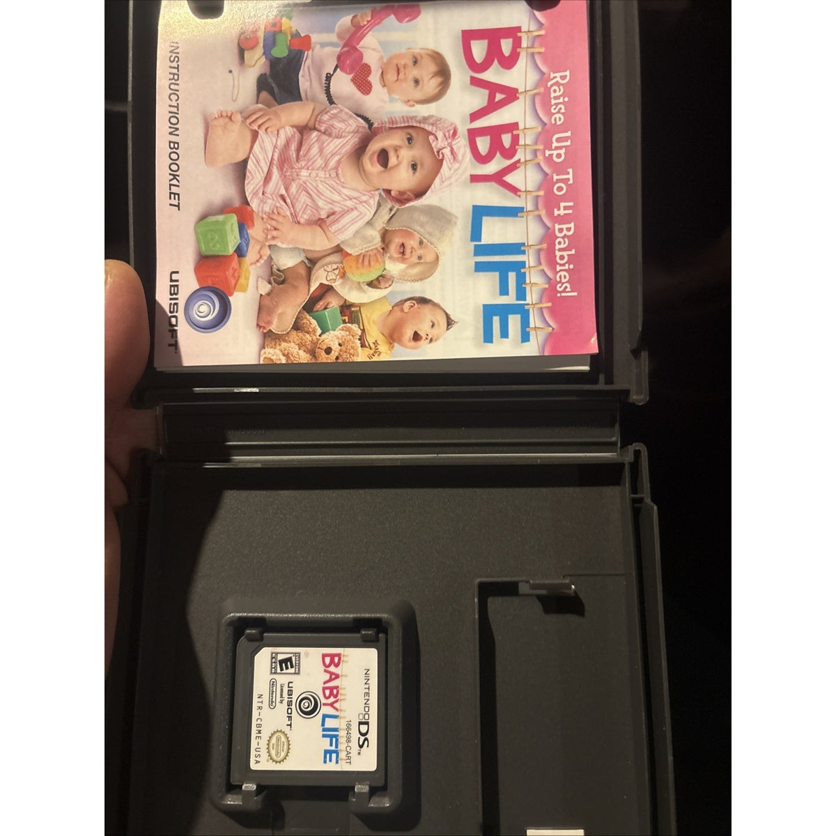 Baby Life (Nintendo DS, 2010)