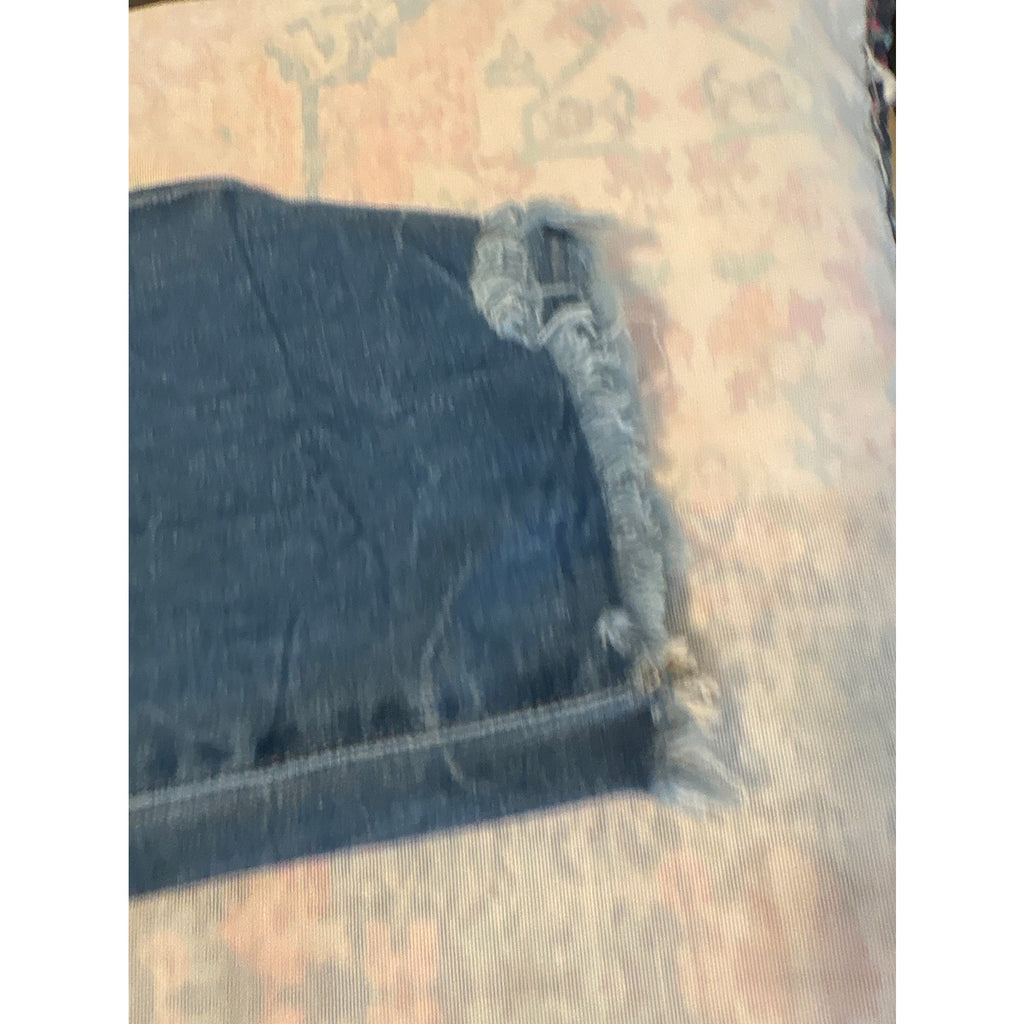 Ana a New Approach High-Rise Jegging Women's Jeans 18W Blue