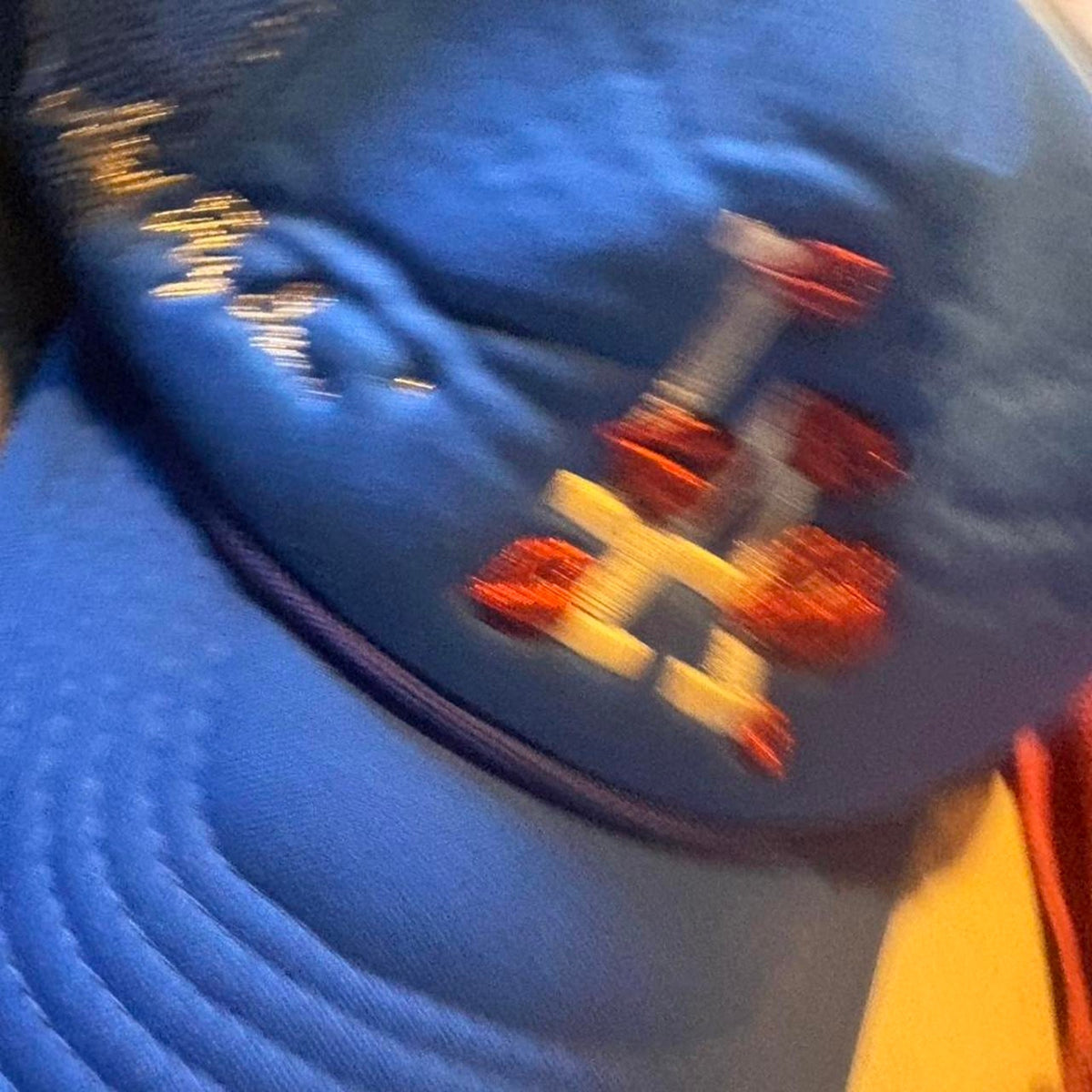 La dodgers fly guy trucker